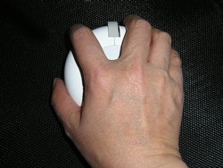 eizo6.jpg